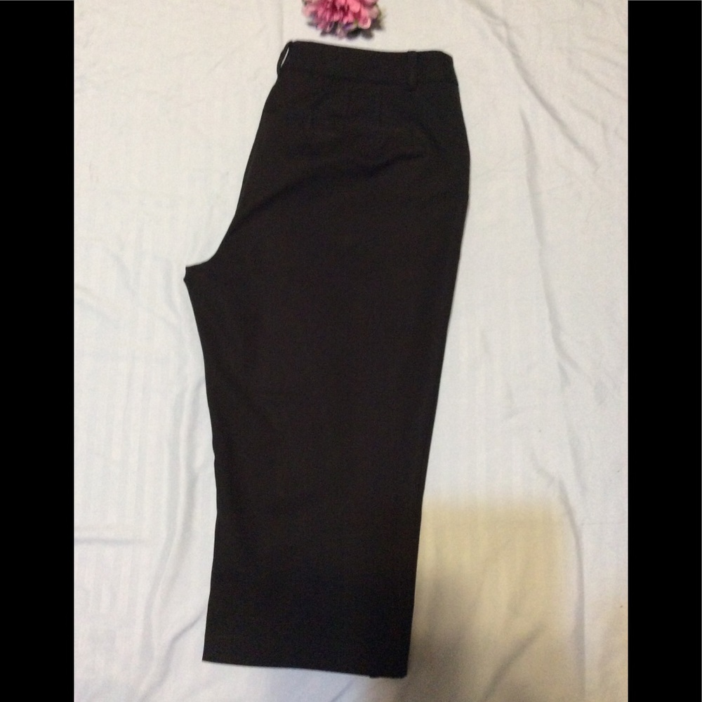An Taylor Capri pants